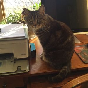 Meet your Posher, Erin